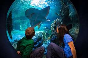 Fairfield Inn & Suites by Marriott Cincinnati Airport South/Florence