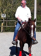 Tenuta dei Cavalieri