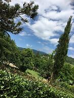 Tenuta dei Cavalieri