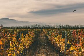 Rosell Boher Winery Lodge & Spa