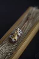 Rosell Boher Winery Lodge & Spa