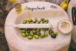 Rosell Boher Winery Lodge & Spa