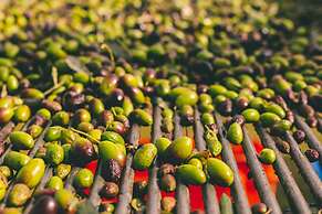 Rosell Boher Winery Lodge & Spa