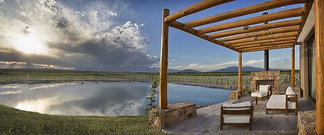 Rosell Boher Winery Lodge & Spa