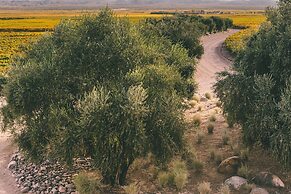 Rosell Boher Winery Lodge & Spa