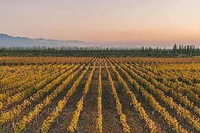 Rosell Boher Winery Lodge & Spa