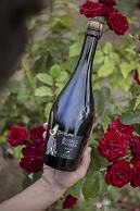 Rosell Boher Winery Lodge & Spa