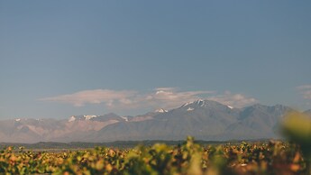 Rosell Boher Winery Lodge & Spa