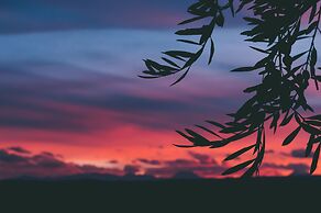 Rosell Boher Winery Lodge & Spa