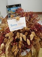 Terra Sinus B&B