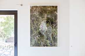 Caparica Azores Ecolodge