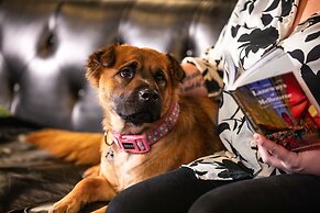 Ink Hotel Melbourne Southbank