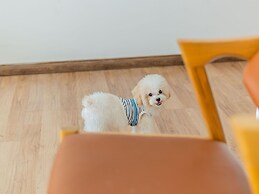 Phuong Nam Hotel Vung Tau