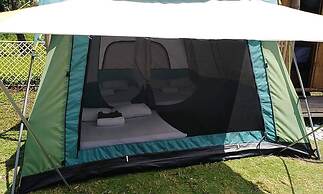 Pacific Buddies - Campsite