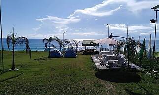 Pacific Buddies - Campsite