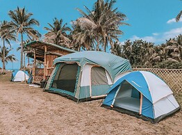 Pacific Buddies - Campsite