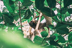 La Loma Jungle Lodge