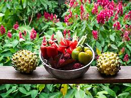 La Loma Jungle Lodge