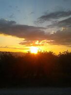 Agriturismo Il Truffarello