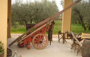 Agriturismo Il Truffarello