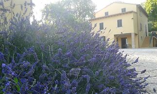 Agriturismo Il Truffarello