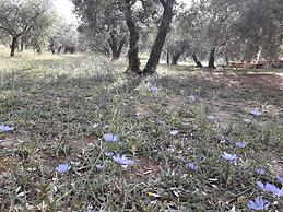 Agriturismo Il Truffarello