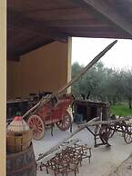 Agriturismo Il Truffarello