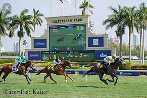 Amazing Apartment,hallandale Beach, Walk to Ocean!