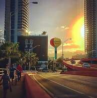 Amazing Apartment,hallandale Beach, Walk to Ocean!