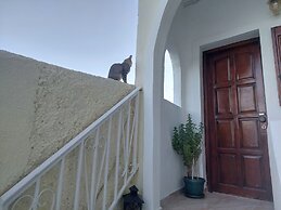 Evelina Pension