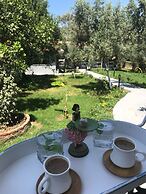 Karia Konuk Evi