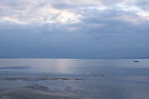 L'Anderenis