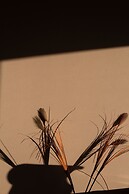 METT Hotel & Beach Resort Bodrum