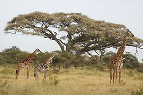Karatu Tented Lodge