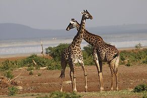 Karatu Tented Lodge
