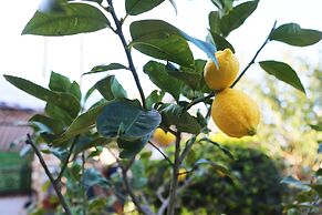 Alacati Albatross Hotel