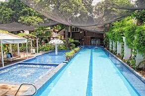 Luljettas Place Garden Suites