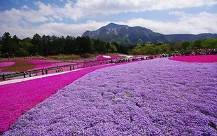 One Meter Sunshine Xi'an Xianyang International Airport Hotel