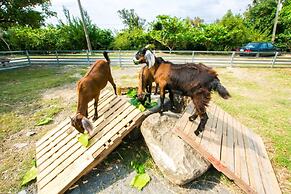 East Coast Rose Garden Villa
