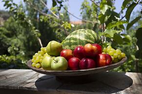 Villa of the old olive oil factory