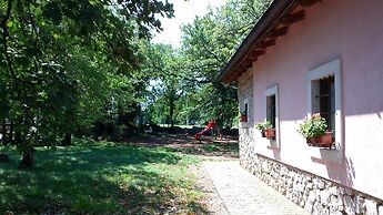 Fattoria Carsica Bajta