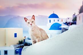 Diamond Luxury Suites Collection