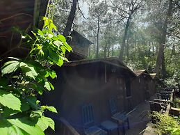 Altaris Bungalows Olympos