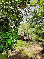 Altaris Bungalows Olympos