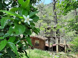 Altaris Bungalows Olympos