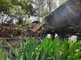 Altaris Bungalows Olympos