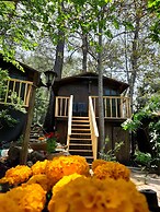 Altaris Bungalows Olympos