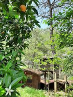 Altaris Bungalows Olympos