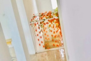Bamboo - Sleeps 6 - Garden - Parking