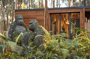 One&Only Gorilla's Nest